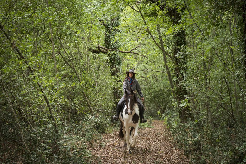 Borgo Tuscany Agroturismo Pignano
