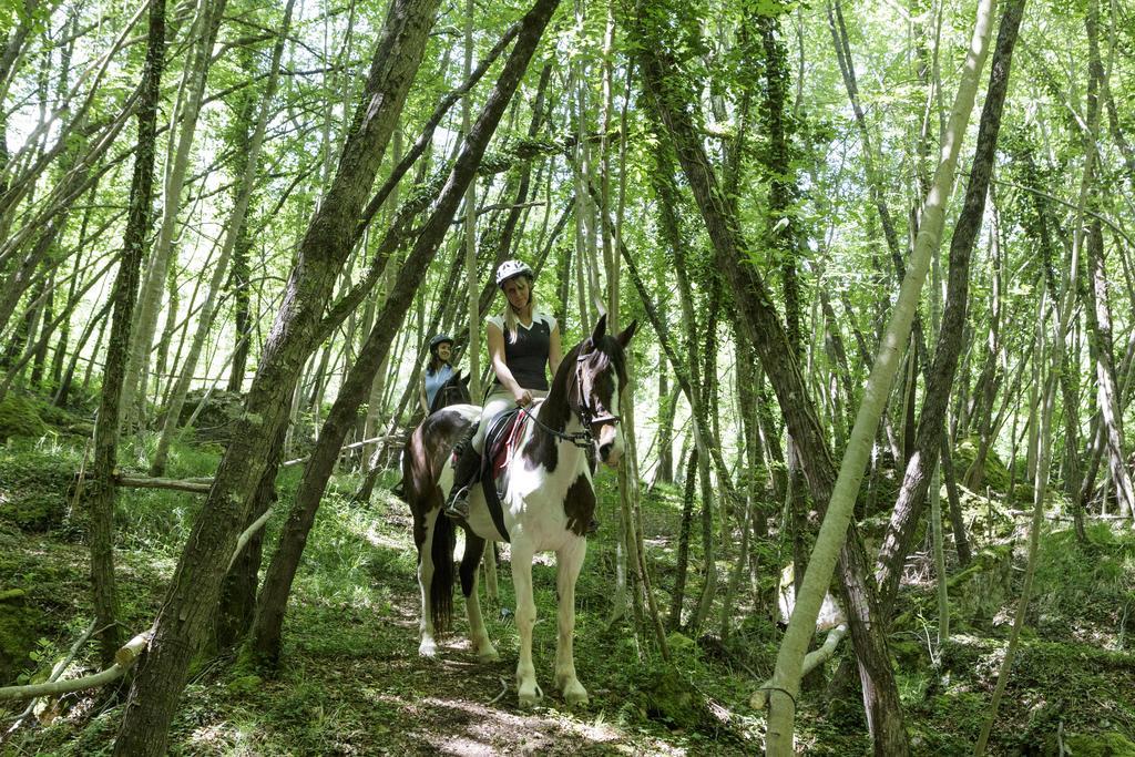 Borgo Tuscany Agroturismo *